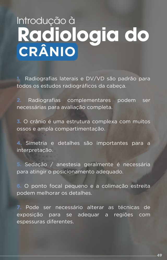 Página do guia: Crânio