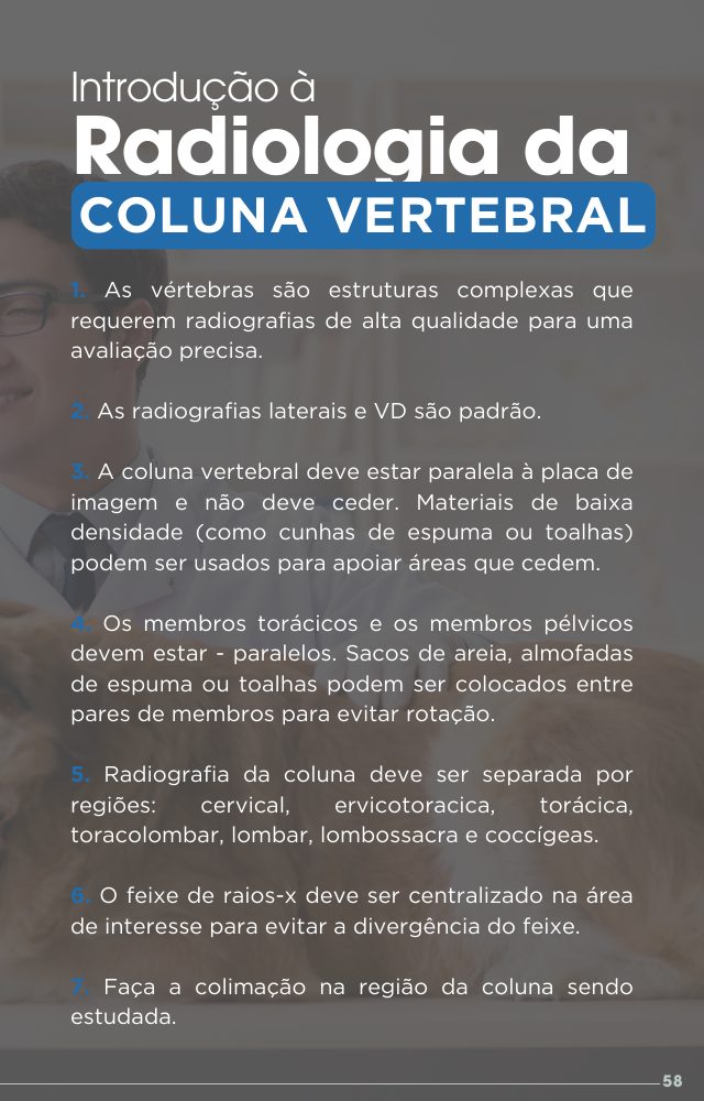 Página do guia: Coluna