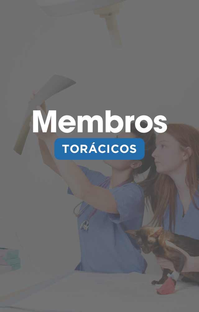 Página do guia: Membro torácico